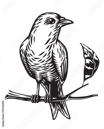 illustration of a bird on a branch