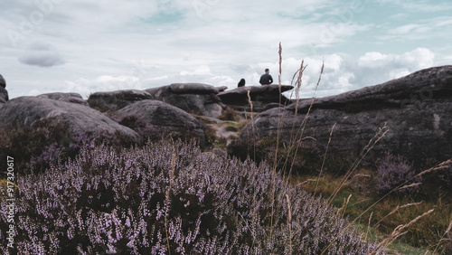 landscape in the mountains