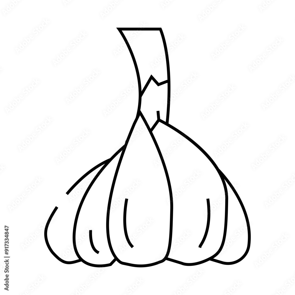 head of garlic line icon vector. head of garlic sign. isolated contour symbol black illustration head of garlic line icon vector. head of garlic sign. isolated contour symbol black illustration