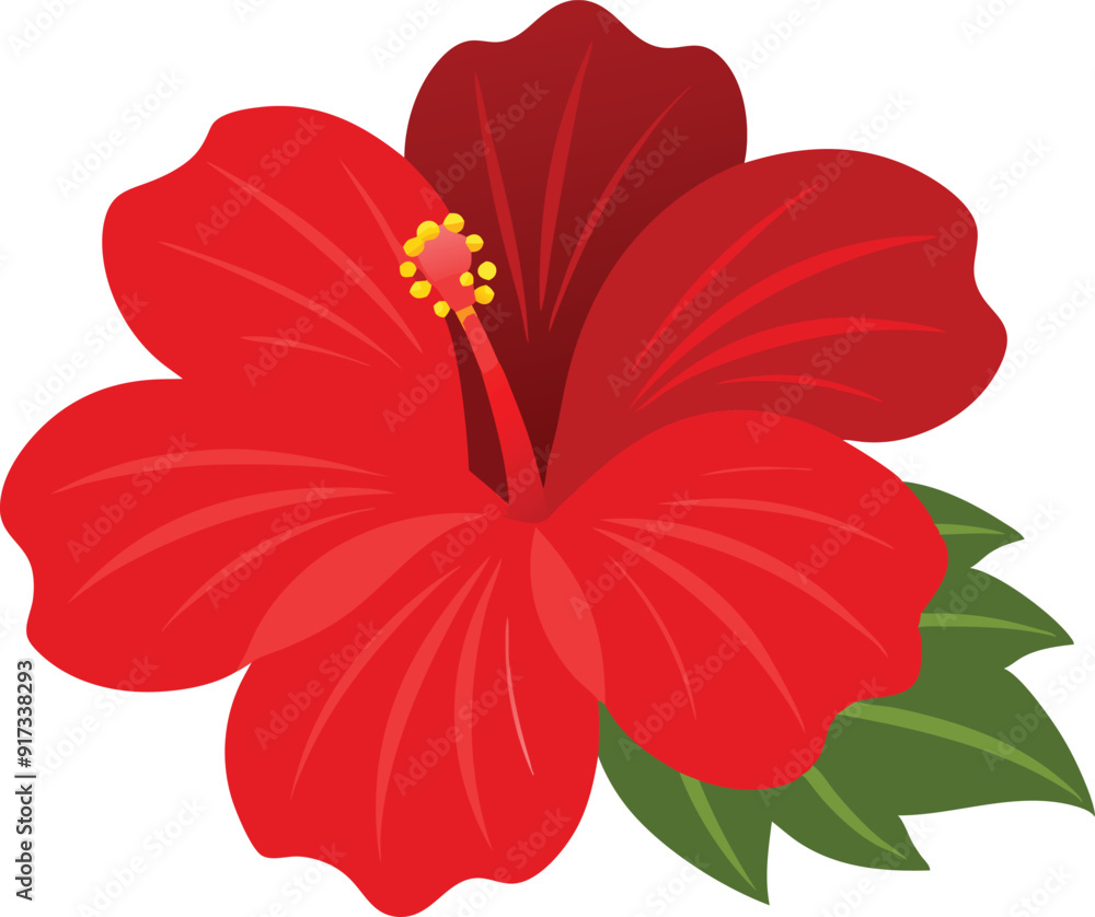 Bright red hibiscus flower with lush green leaves, featuring detailed petals and a prominent stamen.