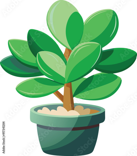 A lush green plant in a pot, featuring broad leaves and a sturdy stem.