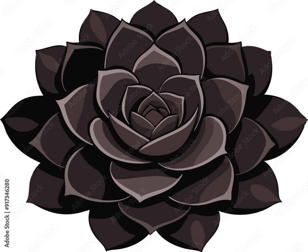 A detailed vector representation of a black succulent with distinct layered petals. A detailed vector representation of a black succulent with distinct layered petals.
