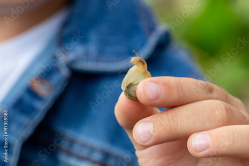 The boy is holding a snail in his hand, close-up. Edible snail farm, growing mollusks. Helix Aspersa Muller, Maxima Snail photo