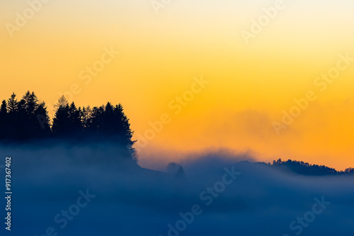 Winter foggy landscape without snow at sunset. The tops of the trees emerge from the fog.