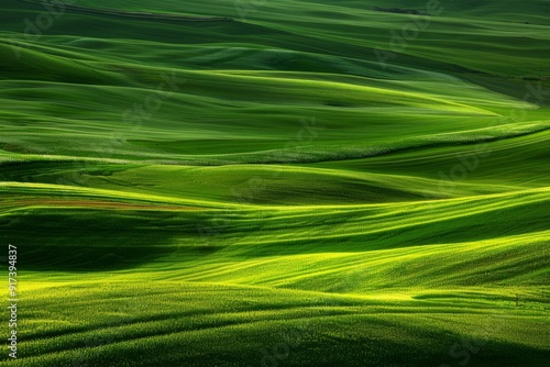 beautiful symmetrical patterns and a golden glow in a field of post-harvest sprayed wheat stubble, Wiltshire UK. Beautiful simple AI generated image in 4K, unique.