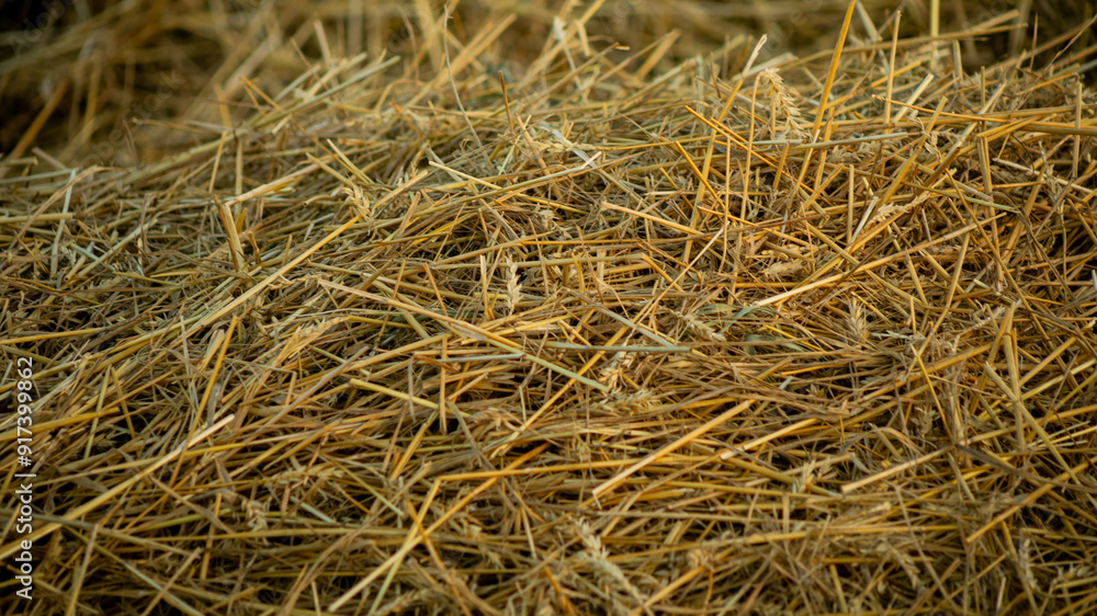 Close-up of a pile of dry straw on a farm, ideal for agricultural themes or autumn harvest festivals Close-up of a pile of dry straw on a farm, ideal for agricultural themes or autumn harvest festivals