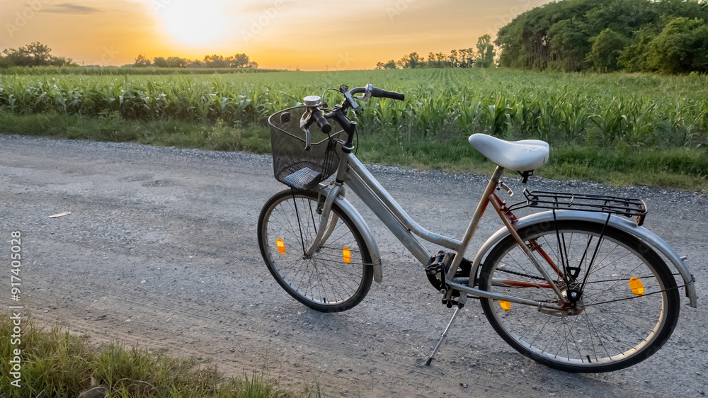 Obraz premium Bicycle on a rural dirt road with lush green fields and a serene sunset, perfect for summer evening rides
