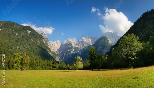 logar valley panoramic view of the meadow with slovenian alps photo