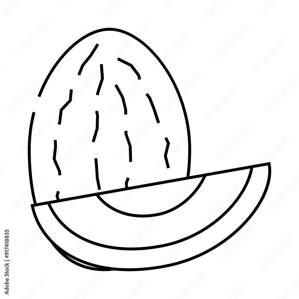 Fototapeta premium melon fruit line icon vector. melon fruit sign. isolated contour symbol black illustration