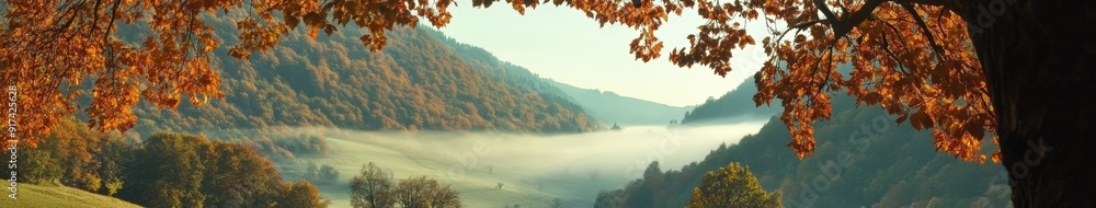 Fototapeta premium Misty autumn landscape with colorful trees in mountain valley