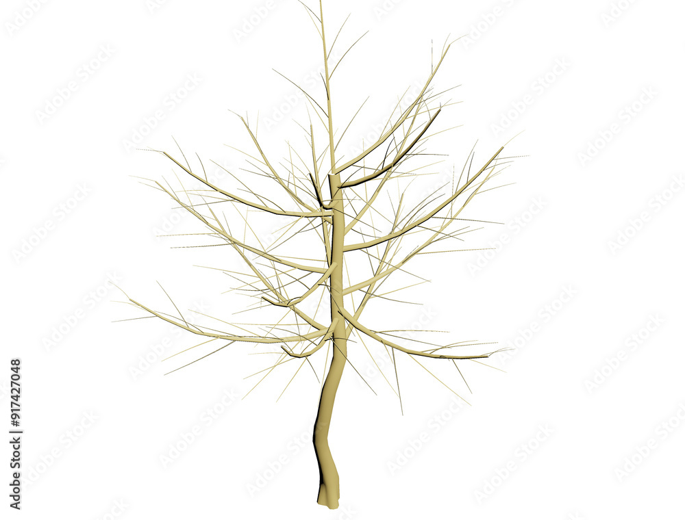Obraz premium Dry tree branches isolated on white background
