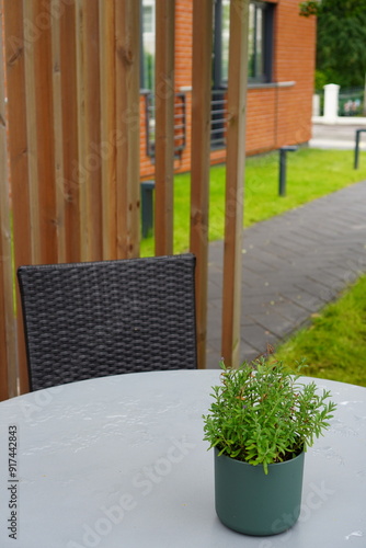 Pot with plant on the table. Dining place with table and rattan chair outdoors. Wooden details and panels on the back. Oru hotel, Tallinn, Estonia, Europe. July 2024 photo