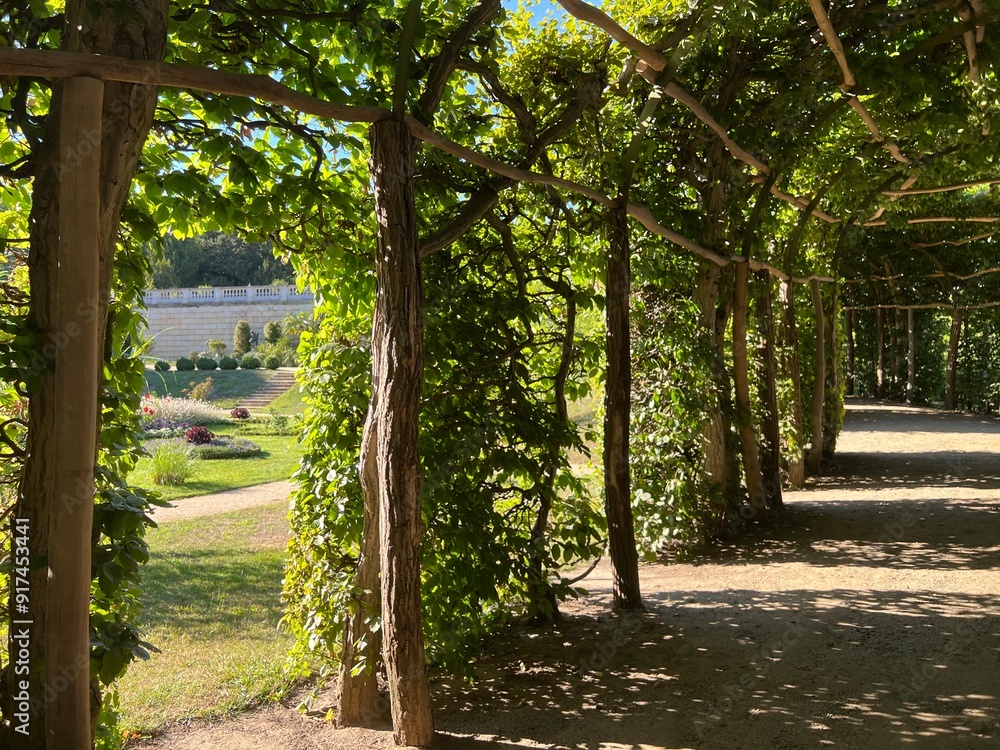 A hidden tunnel, path in the garden, down the rabbit whole, labyrinth, tree labyrinth, castle garden A hidden tunnel, path in the garden, down the rabbit whole, labyrinth, tree labyrinth, castle garden