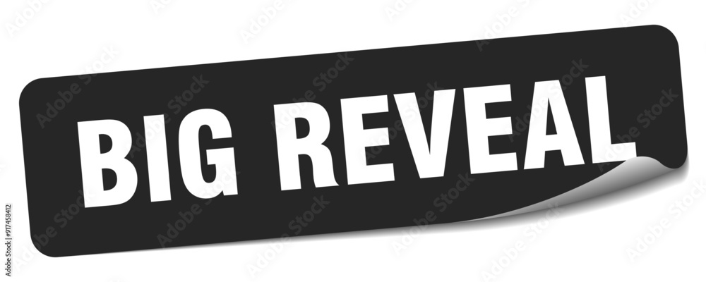 BIG REVEAL BIG REVEAL
