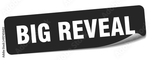 BIG REVEAL