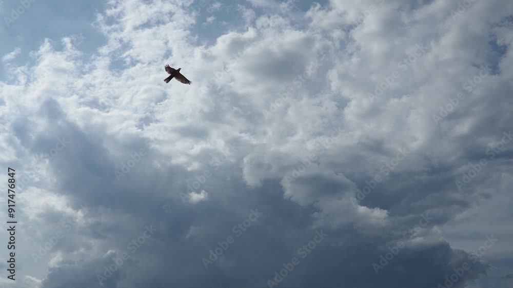 Clouds are floating across the sky, rain is gathering. The weather is getting worse. Climate change. Real time. Slow cloud movements Clouds are forming. Clouds are floating across the sky, rain is gathering. The weather is getting worse. Climate change. Real time. Slow cloud movements Clouds are forming.