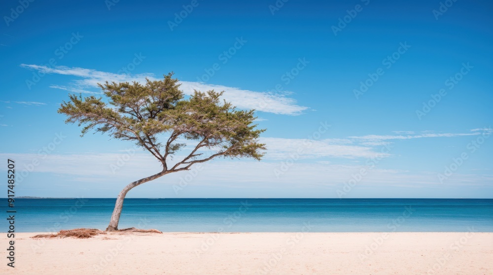 Lone tree on serene sandy beach under calm blue sky Lone tree on serene sandy beach under calm blue sky