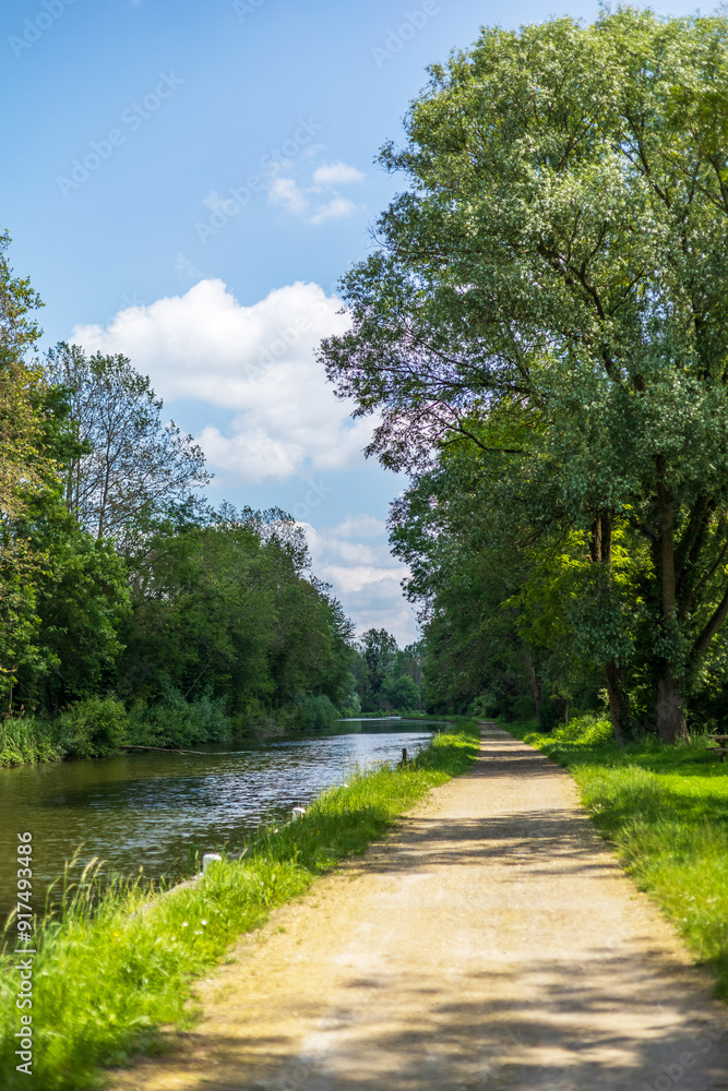 Obraz premium A serene pathway along the Canal du Loing in France