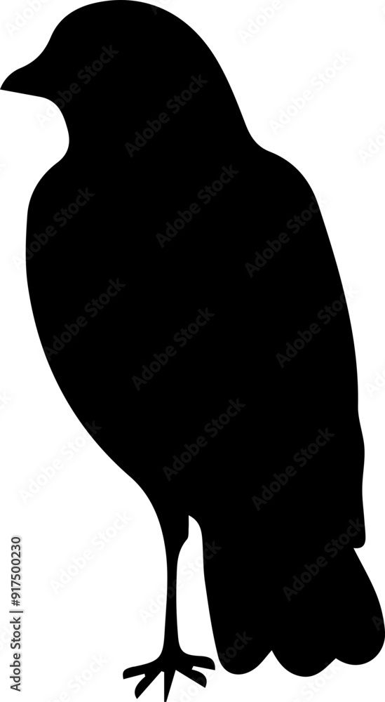 silhouette of a bird