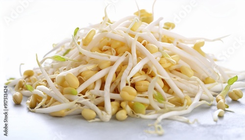 organic raw white mung bean sprouts