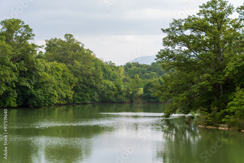 Serene lake surrounded by lush greenery with distant mountains.