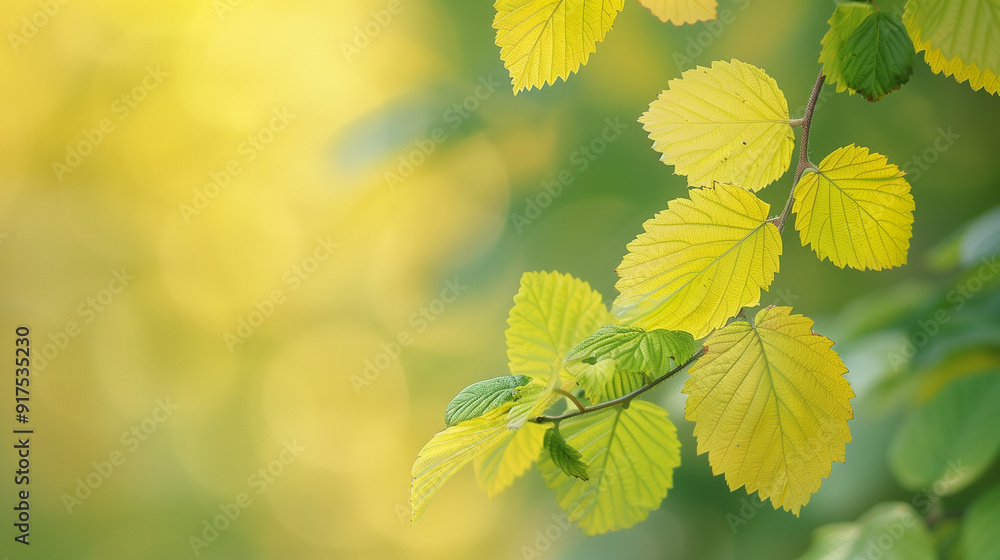 Raspberry bush foliage with yellow and green leaves, bathed in warm sunlight, creating a serene and inviting natural scene. Raspberry bush foliage with yellow and green leaves, bathed in warm sunlight, creating a serene and inviting natural scene.