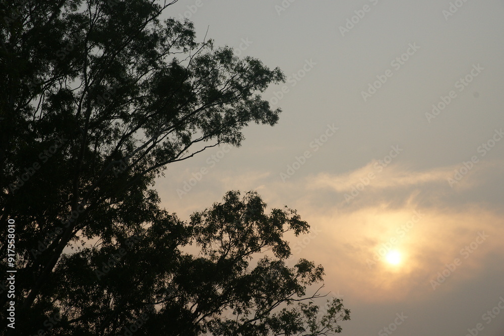 Fototapeta premium India travel, Indian scenery