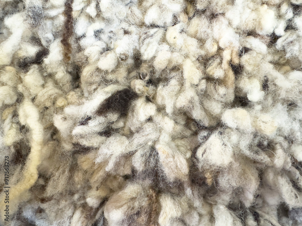 Background with natural sheep wool texture Background with natural sheep wool texture