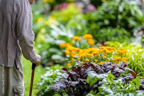 Senior Tending Colorful Garden with Walking Stick photo