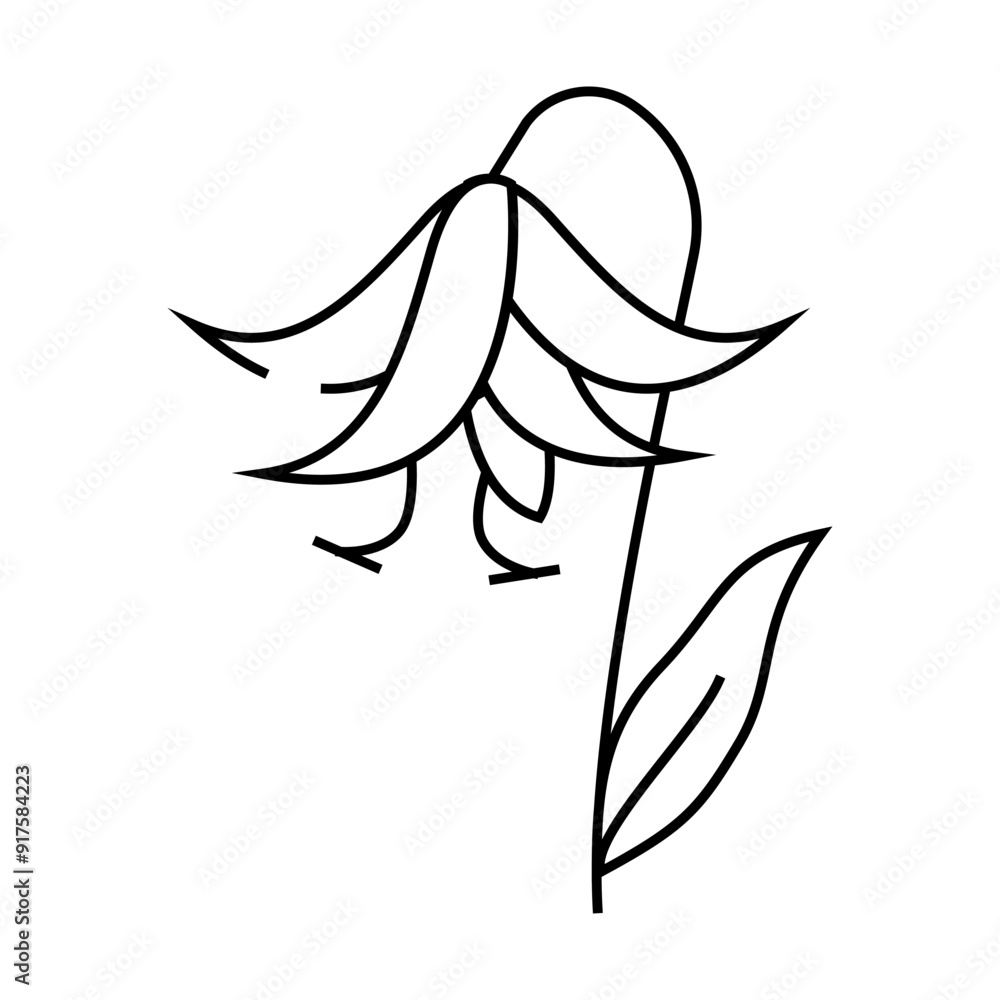 lilium natural flower line icon vector. lilium natural flower sign. isolated contour symbol black illustration lilium natural flower line icon vector. lilium natural flower sign. isolated contour symbol black illustration