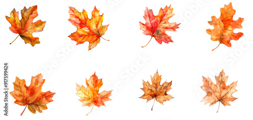 Set of beautiful autumn leave isolated on transparent background