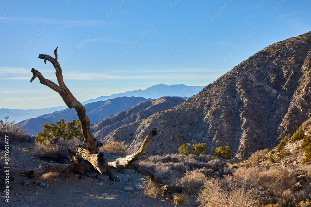 Scenic view from the top of the mountain in Joshua Tree National Park looking out for miles Scenic view from the top of the mountain in Joshua Tree National Park looking out for miles
