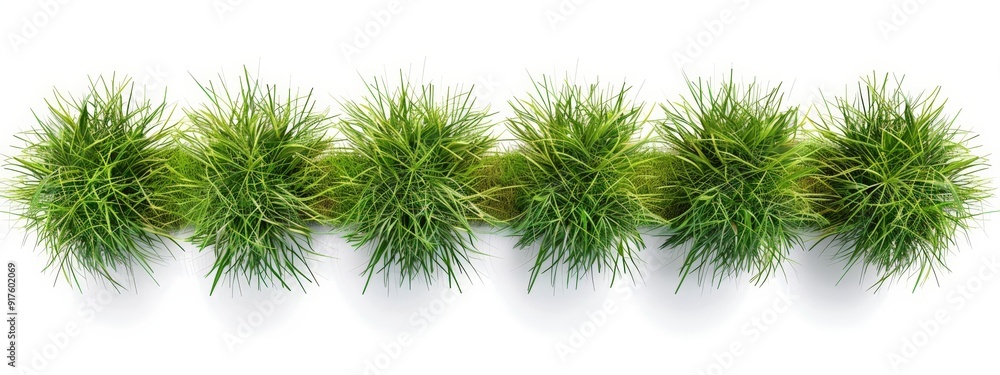 Sharp Focus on Grassy Rows in a Realistic 3D Rendered Farm Scene with Transparent Background Sharp Focus on Grassy Rows in a Realistic 3D Rendered Farm Scene with Transparent Background