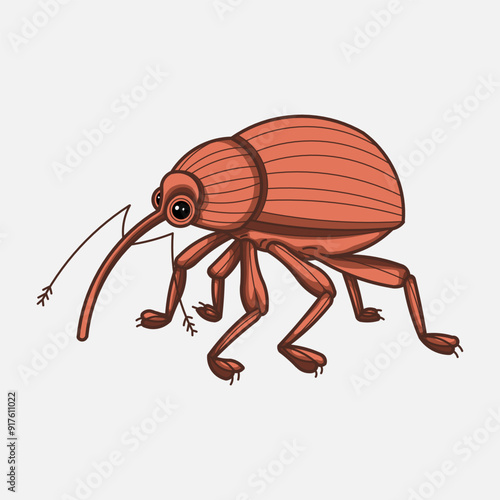 Acorn nut weevil (Curculio nucum)