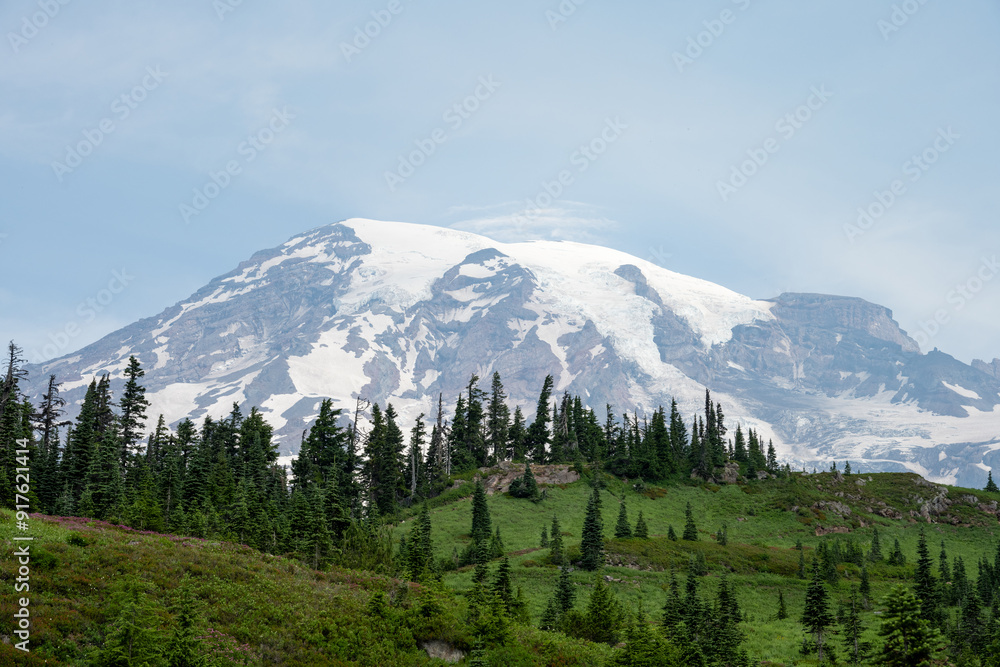 Obraz premium Mount Rainier on a sunny summer day, peaceful recreation landscape, Mt Rainier National Park 
