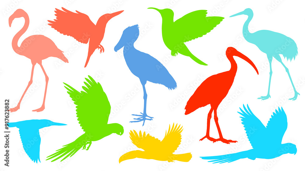Colorful silhouette illustrations of various birds isolated on transparent background Colorful silhouette illustrations of various birds isolated on transparent background