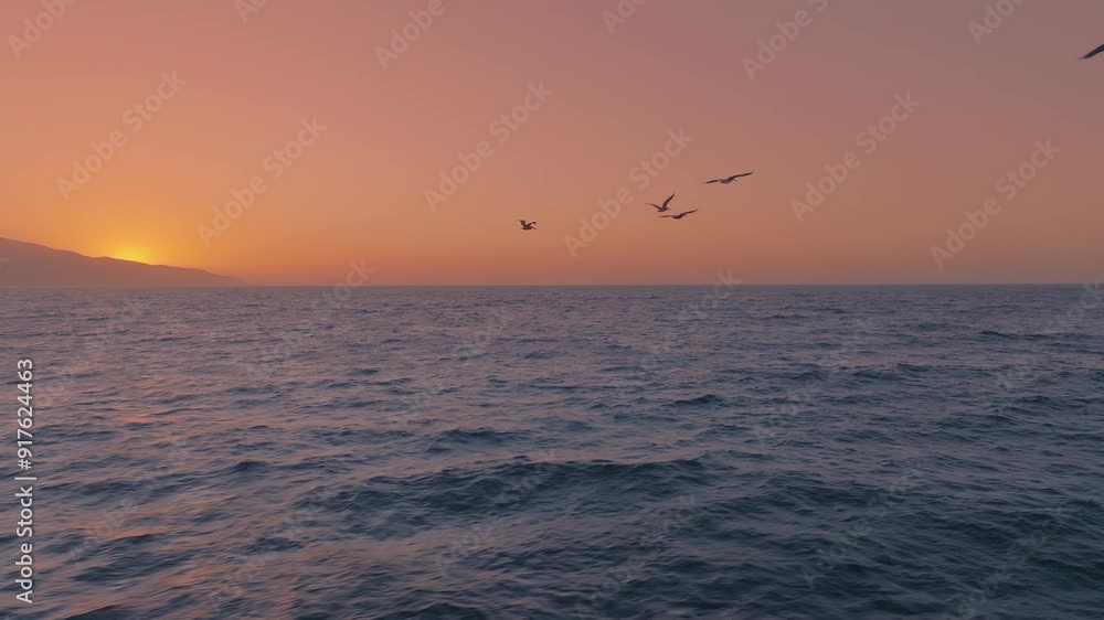 During a picturesque sunset, a group of pelicans is captured flying in slow motion over the ocean in a stunning aerial view. The serene scene features calm waters and a vibrant sky During a picturesque sunset, a group of pelicans is captured flying in slow motion over the ocean in a stunning aerial view. The serene scene features calm waters and a vibrant sky