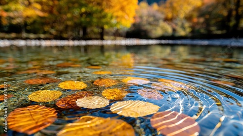 Serene Autumn Reflections: Fallen Leaves Floating on Clear Pond with Colorful Ripples Creating Abstract Patterns