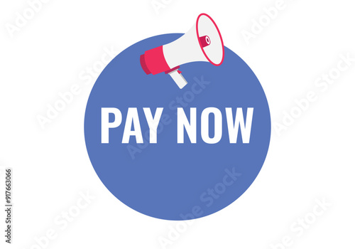 pay now button, banner, label, template for website. pay now text with colorful megaphone icon 