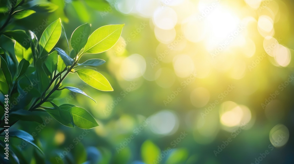 Blurred nature background with green leaves and sunlight, ideal for eco-friendly and natural concepts - Blurred nature background with green leaves and sunlight, ideal for eco-friendly and natural concepts -