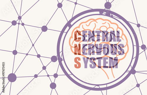 CNS abbreviation. Mean central nervous system. Medical acronym