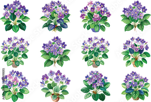 streptococcus saintliness watercolor floral