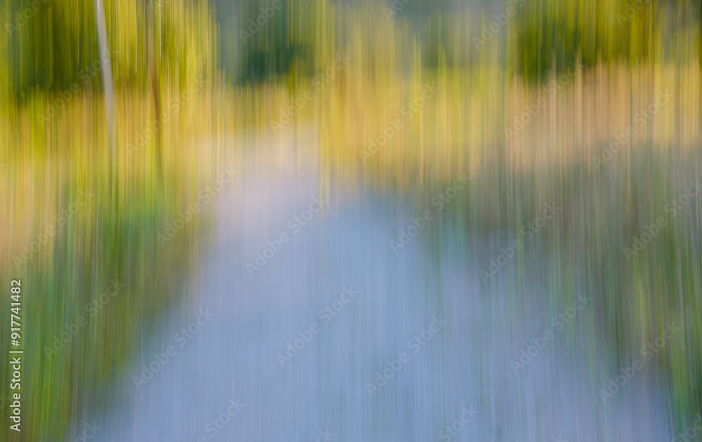 abstract image of a path in the park abstract image of a path in the park