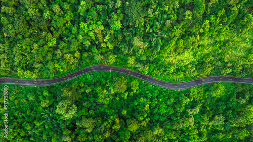 Aerial view of a road in the middle of the forest , Ecosystem ecology healthy environment road trip travel.