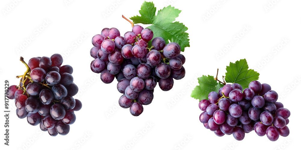 Grape fruits isolated on transparent background Grape fruits isolated on transparent background