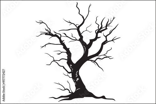 Tree without leaves, bare tree, leafless tree, winter tree, dormant tree, dead-looking tree, skeletal tree, branchy tree, twiggy tree, naked tree, exposed tree, stripped tree, barren tree, unadorned t
