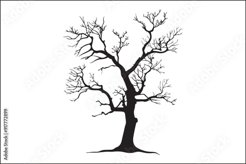 Tree without leaves, bare tree, leafless tree, winter tree, dormant tree, dead-looking tree, skeletal tree, branchy tree, twiggy tree, naked tree, exposed tree, stripped tree, barren tree, unadorned t