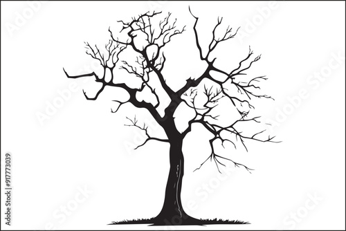 Tree without leaves, bare tree, leafless tree, winter tree, dormant tree, dead-looking tree, skeletal tree, branchy tree, twiggy tree, naked tree, exposed tree, stripped tree, barren tree, unadorned t
