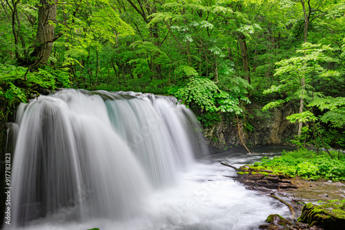 Choshio Falls Cascading in the Lush Oirase Gorge, Aomori, Japan