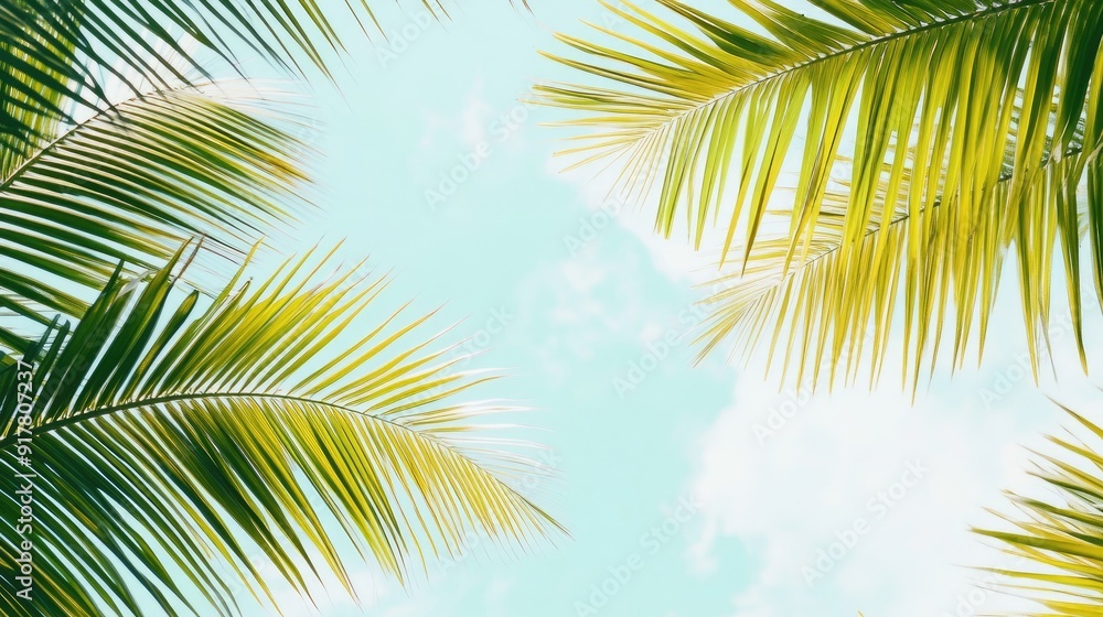 A serene scene of palm leaves swaying gently, set against a soft blue sky. A serene scene of palm leaves swaying gently, set against a soft blue sky.